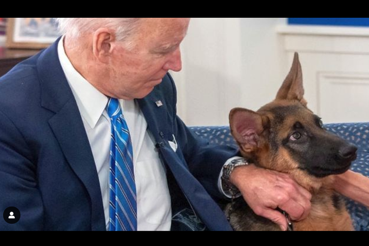 Anjing Joe Biden Kembali Gigit Paspampres