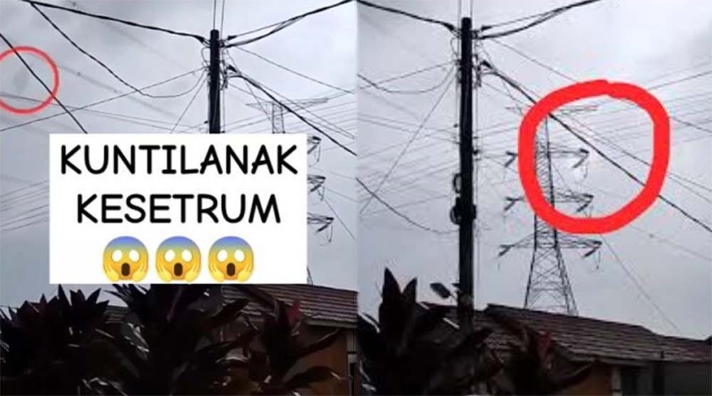 Apes Kuntilanak Terbang Kesetrum Kabel Listrik, Videonya Viral