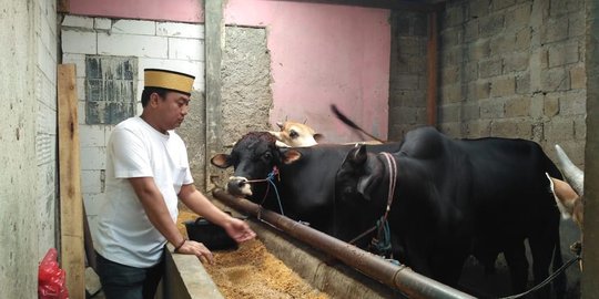 Azis Gagap Jualan Hewan Kurban, Ungkap Suka Duka dan Sempat Ramai Diborong Artis Setiap Idul Adha