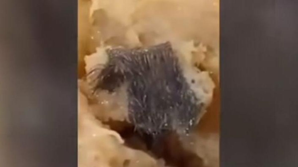 BPOM Digandeng Selidiki Video Viral Bakso Daging Tikus di Surabaya