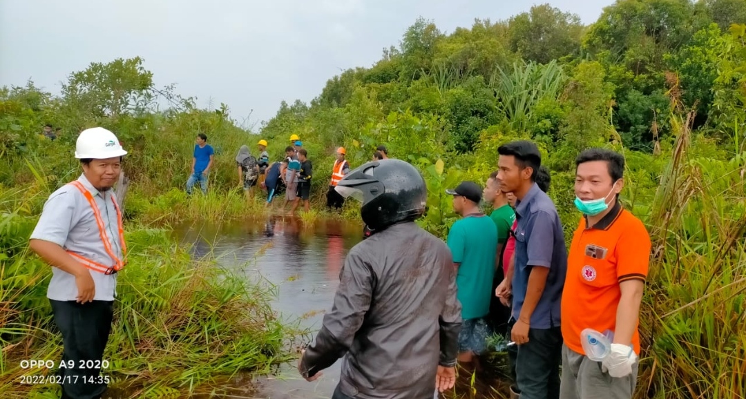 Detik detik Warga Selamatkan Wanita Pekerja Kebun Sawit di Ketapang yang Diterkam Buaya