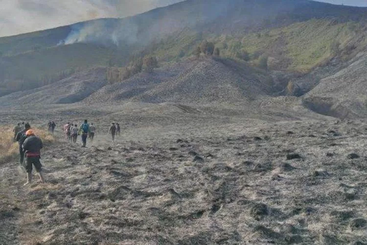 Diguyur Hujan, Bagaimana Kondisi Kebakaran di Gunung Bromo Kini