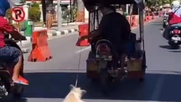 Fakta fakta Viral Pria Pengemudi Bentor Seret Anjing di Makassar