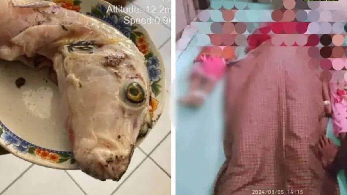 Gara gara Makan Telur Ikan Buntal, Seorang Ibu dan Kedua Anaknya Meninggal Dunia