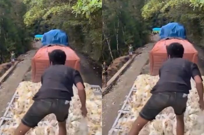 Gegara Truk Kena Macet 2 Hari di Sulawesi, Bangkai Ayam Dibuang ke Jurang