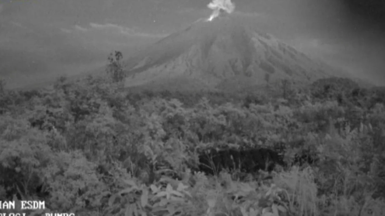 Gunung Semeru Erupsi Dengan Letusan Teramati Hingga 1 Km