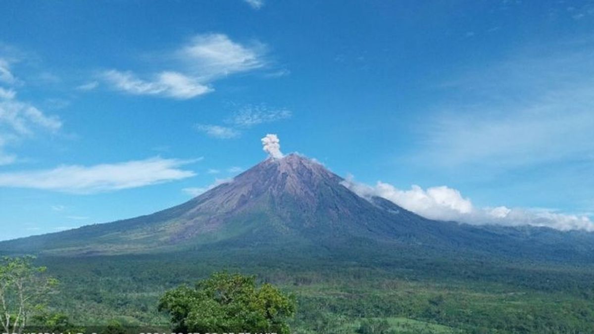 Gunung Semeru Kembali Erupsi Dengan Tinggi Letusan 600 Meter