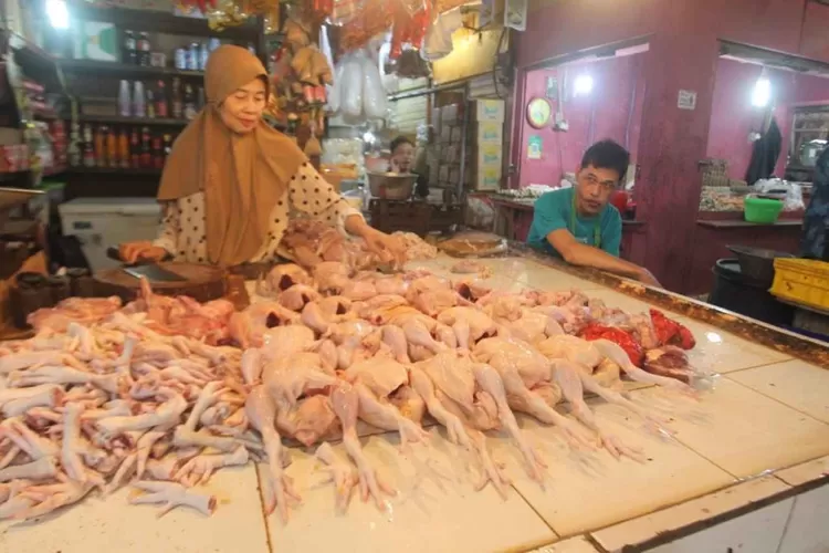 Harga Daging Ayam Naik Tembus Rp 38.000 Per Ekor di Pasar Induk Kramatjati