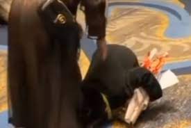 Haru Bocah Ini Sujud dan Cium Kaki Sang Ibu saat Wisuda