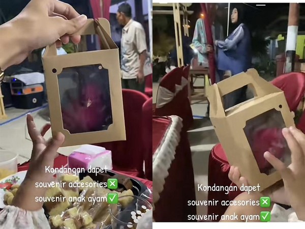 Heboh Souvenir Nikah Anak Ayam, Saat Pulang Tamunya Dikasih Tanggung Jawab