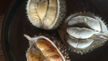 Heboh Video Durian Montong Jadi Makanan Ayam di Thailand