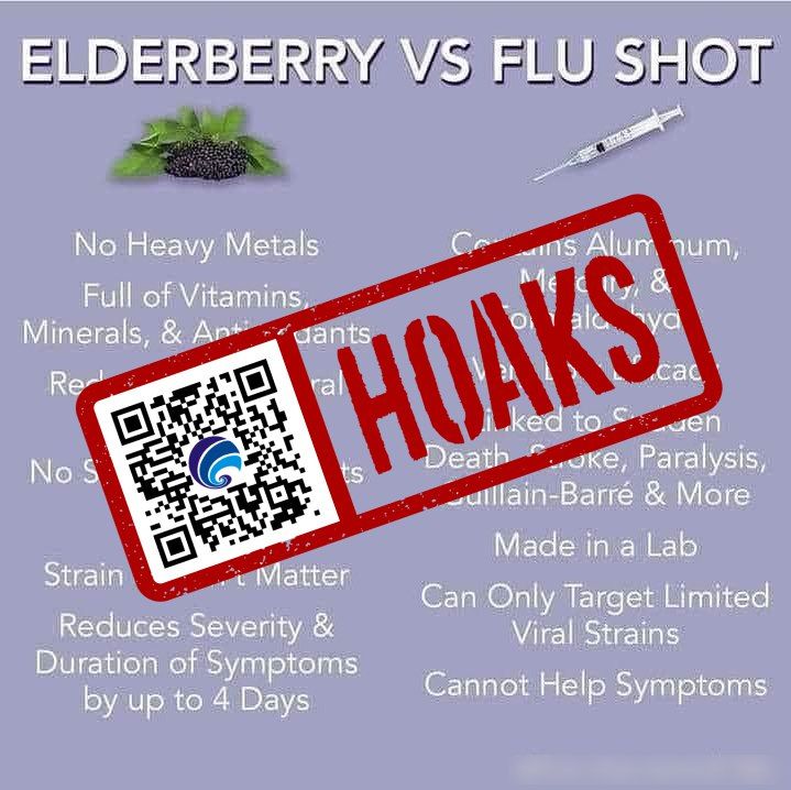 Hoaks Buah Elderberry Bisa Ganti Vaksin Influenza yang Mengandung Aluminium