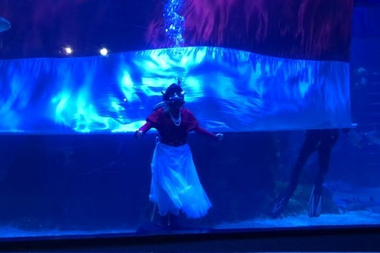 Imel Ten2Five Tampil di Perayaan HUT ke 79 di Jakarta Aquarium dan Safari 