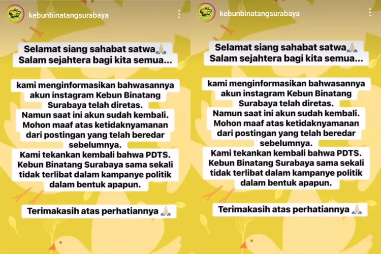 Instagram Kebun Binatang Surabaya Diretas, Tampilkan Foto Anies Cak Imin