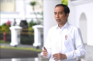 Jokowi Ultah Ke 63, Tetap Berkantor di Istana Presiden Jakarta