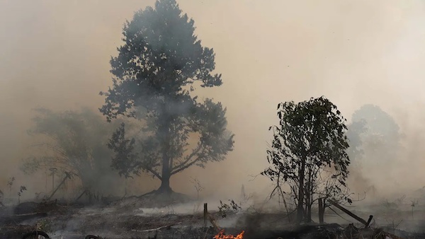 Kabut Asap Indonesia Meluas ke Malaysia, Sekolah Ditutup dan Teknologi Pemadam Brasil Diuji di Sumsel