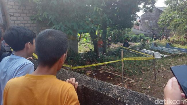 Kuburan Penuh Lalat di Bogor Bikin Geger Ternyata Berisi Mayat Kucing