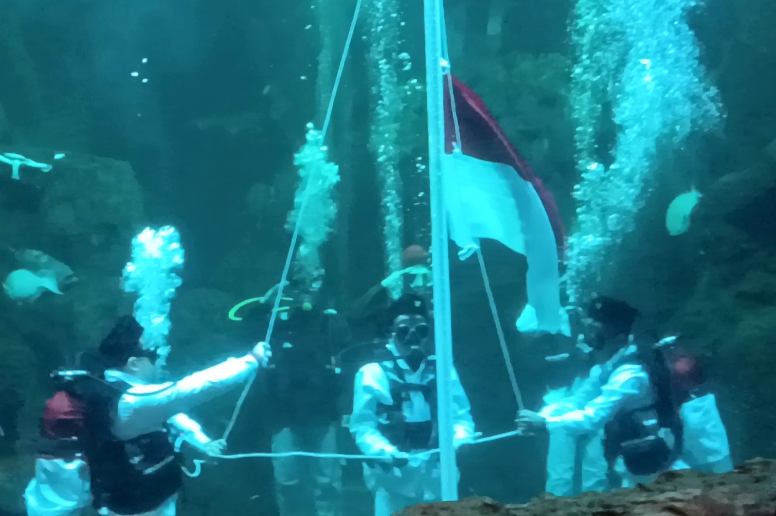 Momen Khidmat Pengibaran Bendera Merah Putih di Akuarium Bawah Laut Sea World