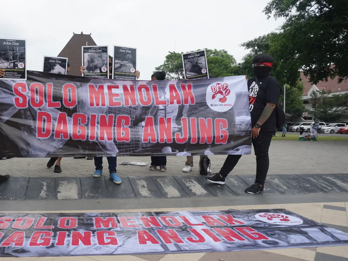 Pedagang Daging Anjing Demo di Balai Kota Solo, Pengepul Ketakutan