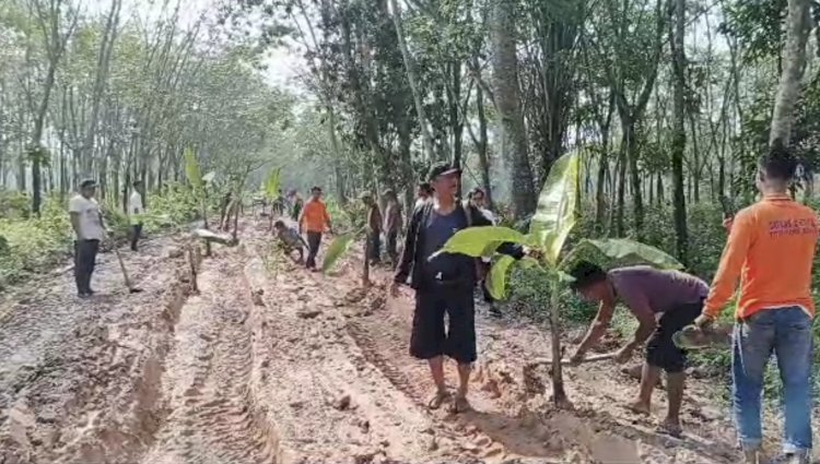 Pemprov Lampung Tak Punya Uang Perbaiki Jalan Rusak Ditanami Pohon Pisang