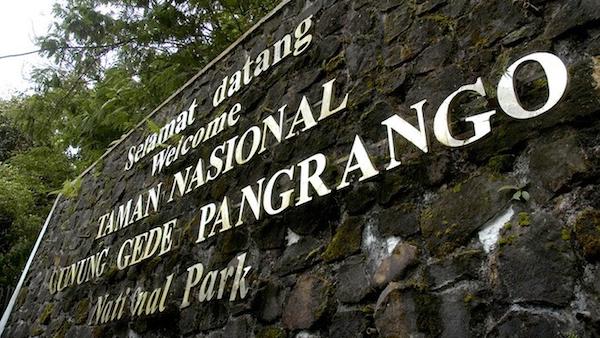 Pendaki Ilegal Nekat Terobos Jalur Ditutup Gunung Gede Pangrango