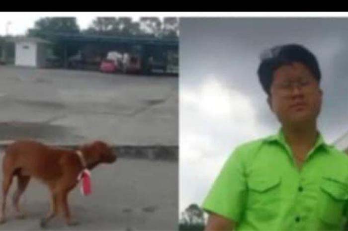 Pria Viral Kalungkan Bendera Merah Putih ke Anjing di Riau Diamankan