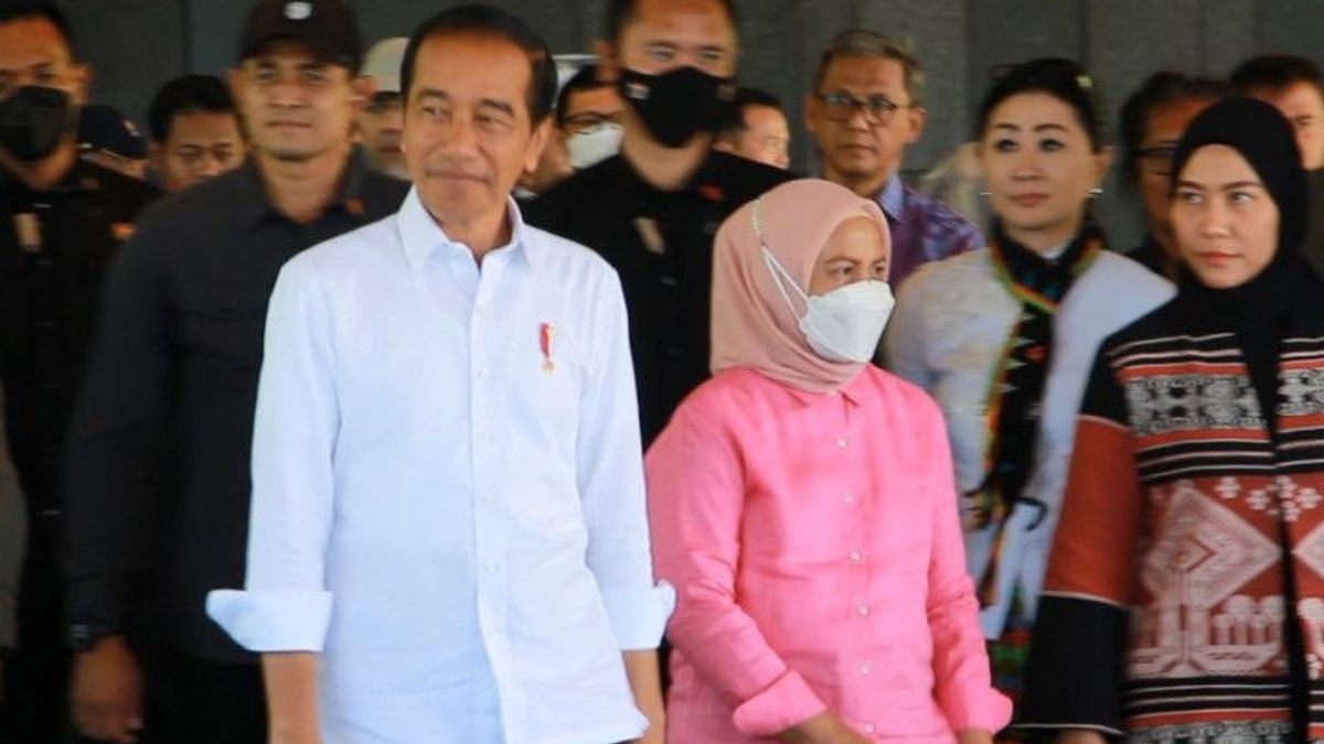 Saking Girang Bertemu Jokowi, Wanita Muda Ini Sampai Buat Paspampres Bereaksi