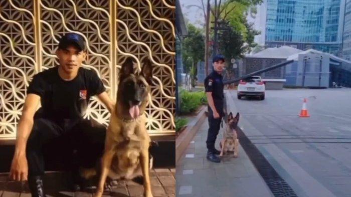Sekuriti Plaza Indonesia Klarifikasi Alasan Pukuli Anjing Penjaga, Tuai Pro Kontra dari Netizen