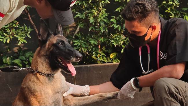 Sekuriti Yang Viral Karen Pukuli Anjing Penjaga di Depan Plaza Indonesia Akhirnya Minta Maaf