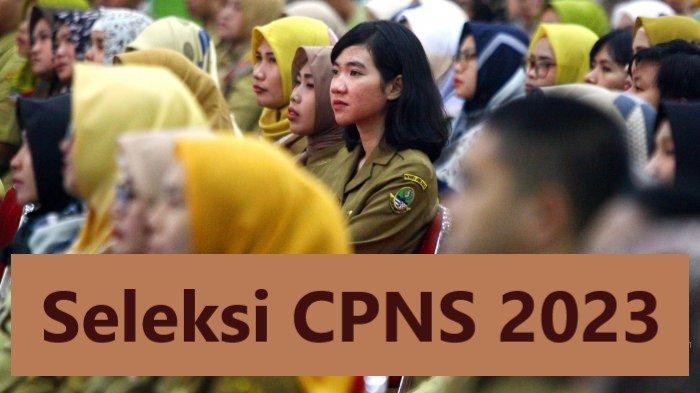 Siap Siap, Seleksi CPNS 2023 Bakal Buka Formasi Khusus Ahli IT