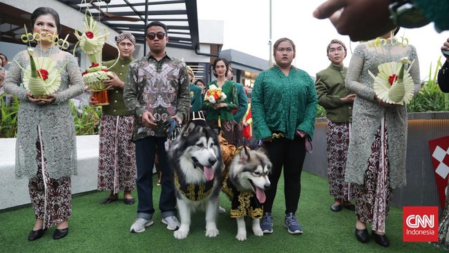 Telan Biaya Ratusan Juta, Pesta Pernikahan Anjing Super Mewah Bikin Jiwa Miskin Netizen Meronta: Ada Aqiqahan Juga