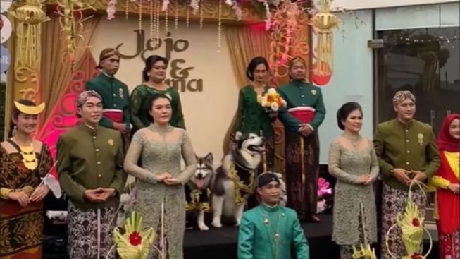 Telan Biaya Ratusan Juta, Pesta Pernikahan Anjing Super Mewah Bikin Jiwa Miskin Netizen Meronta: Ada Aqiqahan Juga