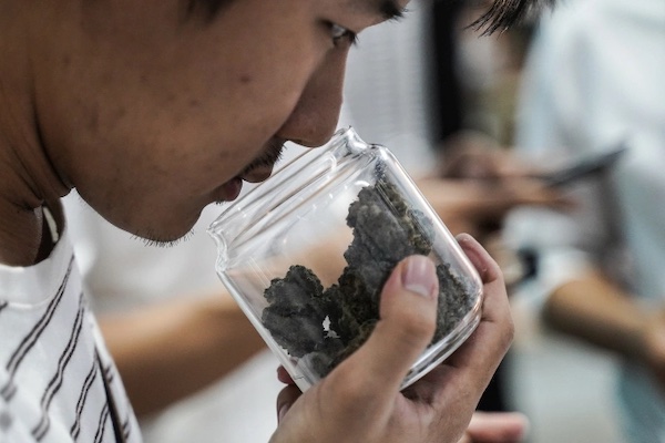 Thailand Perketat Pengawasan Setelah Balita Konsumsi Permen Mengandung Ganja
