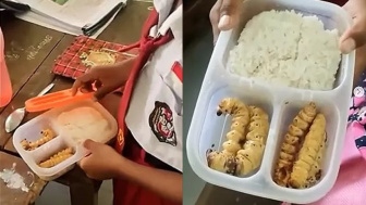 Viral, Video Anak SD Bawa Bekal Ulat Sagu, Ahli Gizi: Tinggi Protein