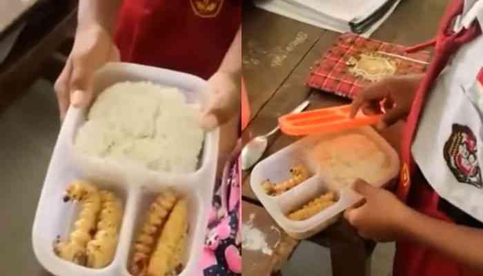 Viral, Video Anak SD Bawa Bekal Ulat Sagu, Ahli Gizi: Tinggi Protein