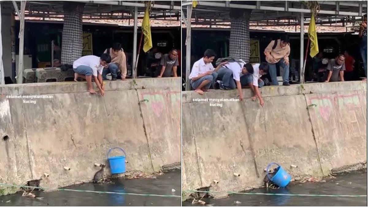 Viral 4 Pelajar SMA Kerja Sama Tolong Kucing yang Jatuh ke Sungai