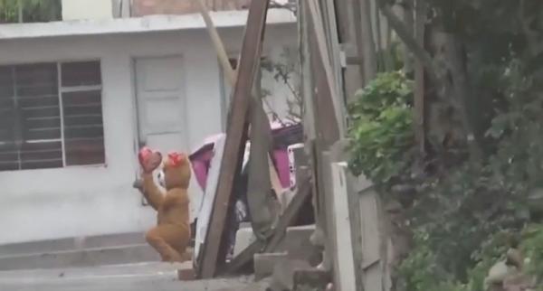 Viral Aksi Polisi Nyamar Jadi Teddy Bear untuk Tangkap Bandar Narkoba