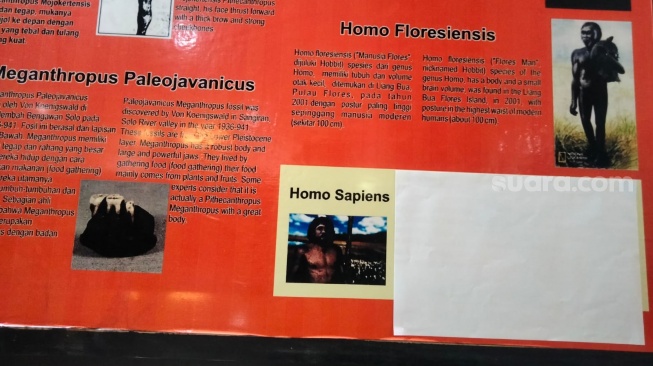 Viral Homo Sapien Diartikan Gay Men, Museum Adityawarman Padang Minta Maaf