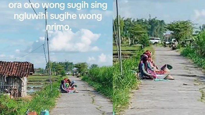 Viral Ibu Ibu Petani Sholat Berjamaah di Depan Sawah Usai Menanam Padi