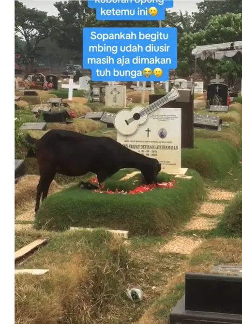 Viral Kambing Makan Bunga di Atas Makam Glenn Fredly Posisi Kaki Jadi Sorotan