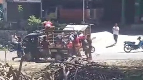 Viral Kawin Tangkap di Sumba Barat Daya Wanita Diculik dan Diangkut Pikap