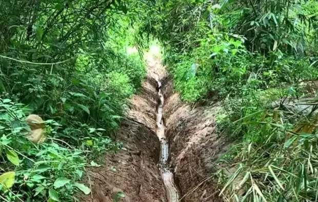 Viral Lahan Tahura Djuanda Rusak Parah Digilas Roda Motor Trail