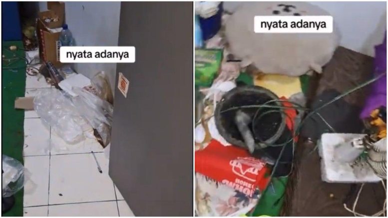 Viral Mahasiswi Berpakaian Rapi, Kamar Kosnya Bikin Shock Penuh Sampah