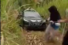 Viral Mobil Google Maps Nyasar dan Masuk ke Perkebunan Akhirnya Diderek Warga