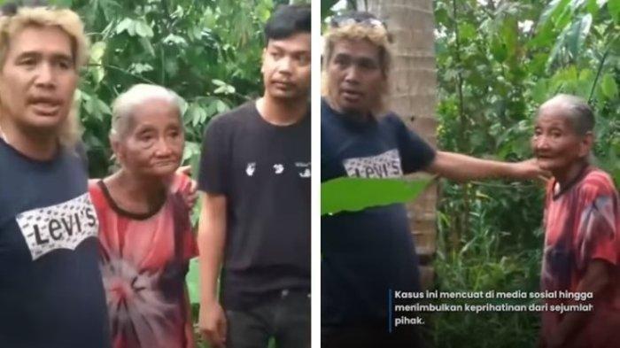 Viral Nenek 83 Tahun Dipolisikan karena Dituduh Curi Kelapa, Hotman Paris: Saya Ganti 100 Kali Lipat!