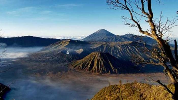 Viral Oknum Pengojek di Gunung Bromo Palak Wisatawan, Polisi Turun Tangan