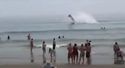 Viral Pesawat Mendadak Mendarat di Pantai AS Bikin Turis Terkejut