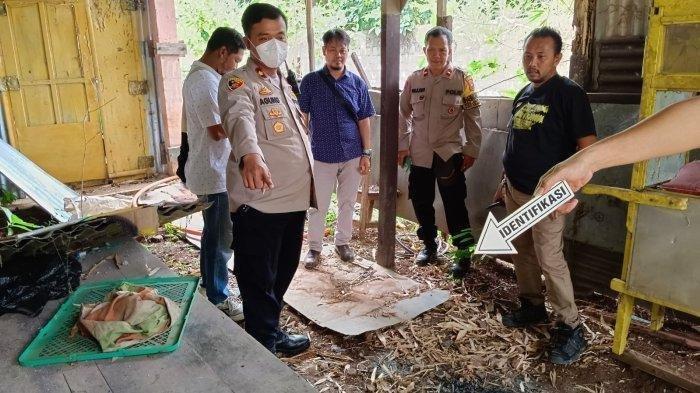 Viral Pria Asal Semarang Memakan 10 Daging Kucing, Akui Untuk Obat