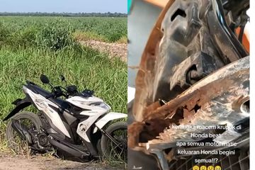 Viral Rangka eSAF Karatan YLKI Sentil Honda dan Desak Recall