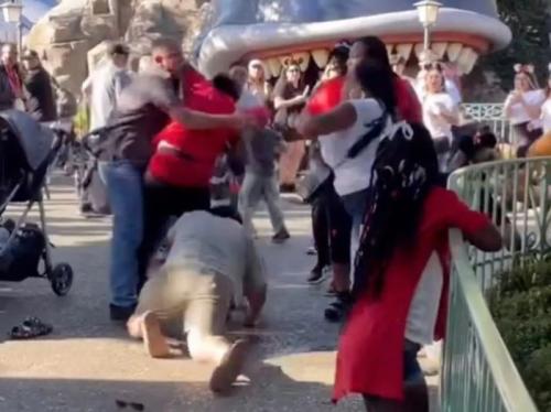 Viral Sekelompok Pria Dan Wanita Berkelahi Di Disneyland, Saling Pukul Di Depan Anak Anak  